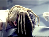 Facehugger