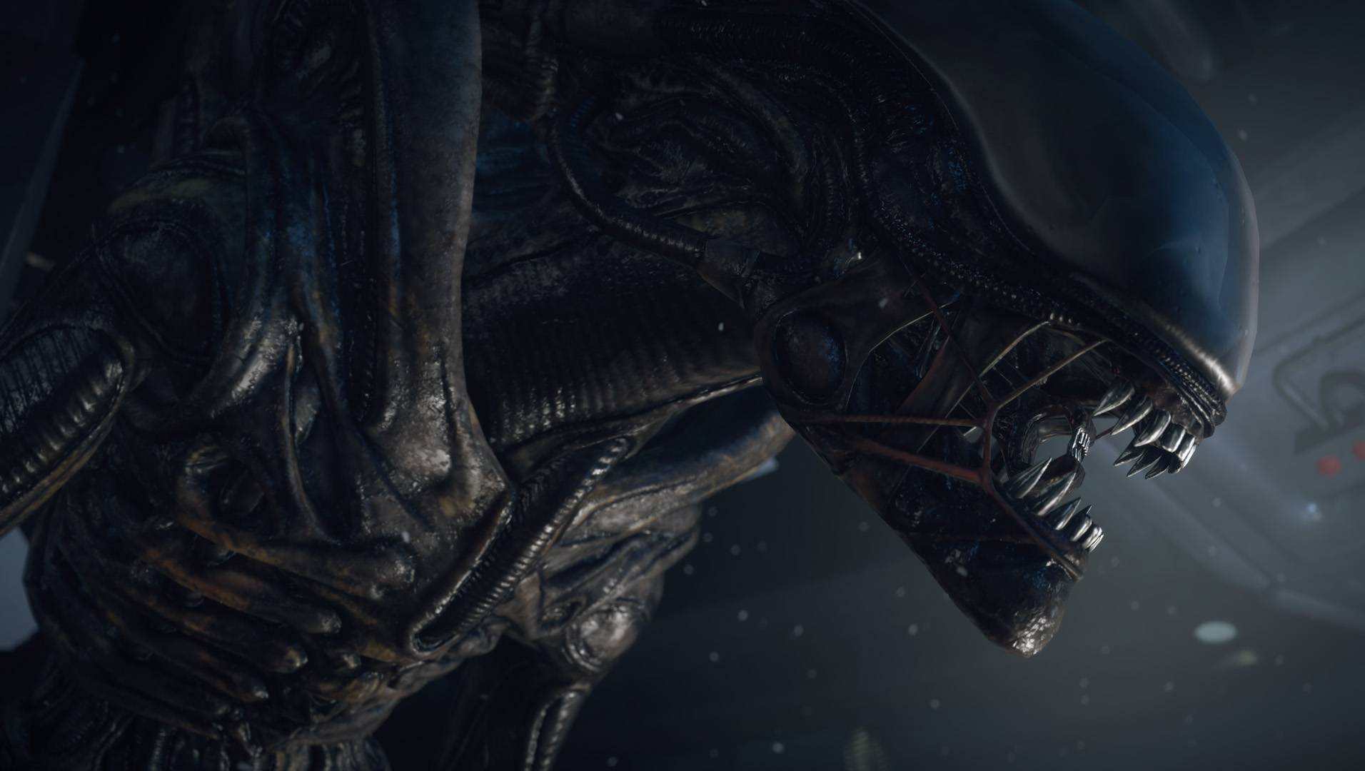 アテッサ新作モデル Xenomorph - Alien: Isolation Wiki SF・ファンタジー・ホラー