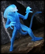 BlueXenomorph-Kenner.jpg (159 KB) Blue-colored Xenomorph