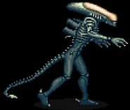 Defender Xenomorph.jpg (7 KB) Defender