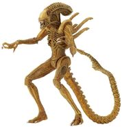 SewerMutationXenomorph.jpg (111 KB) Sewer Mutation