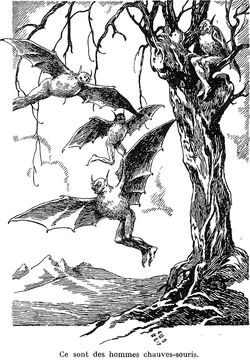 Hommes Chauves-Souris