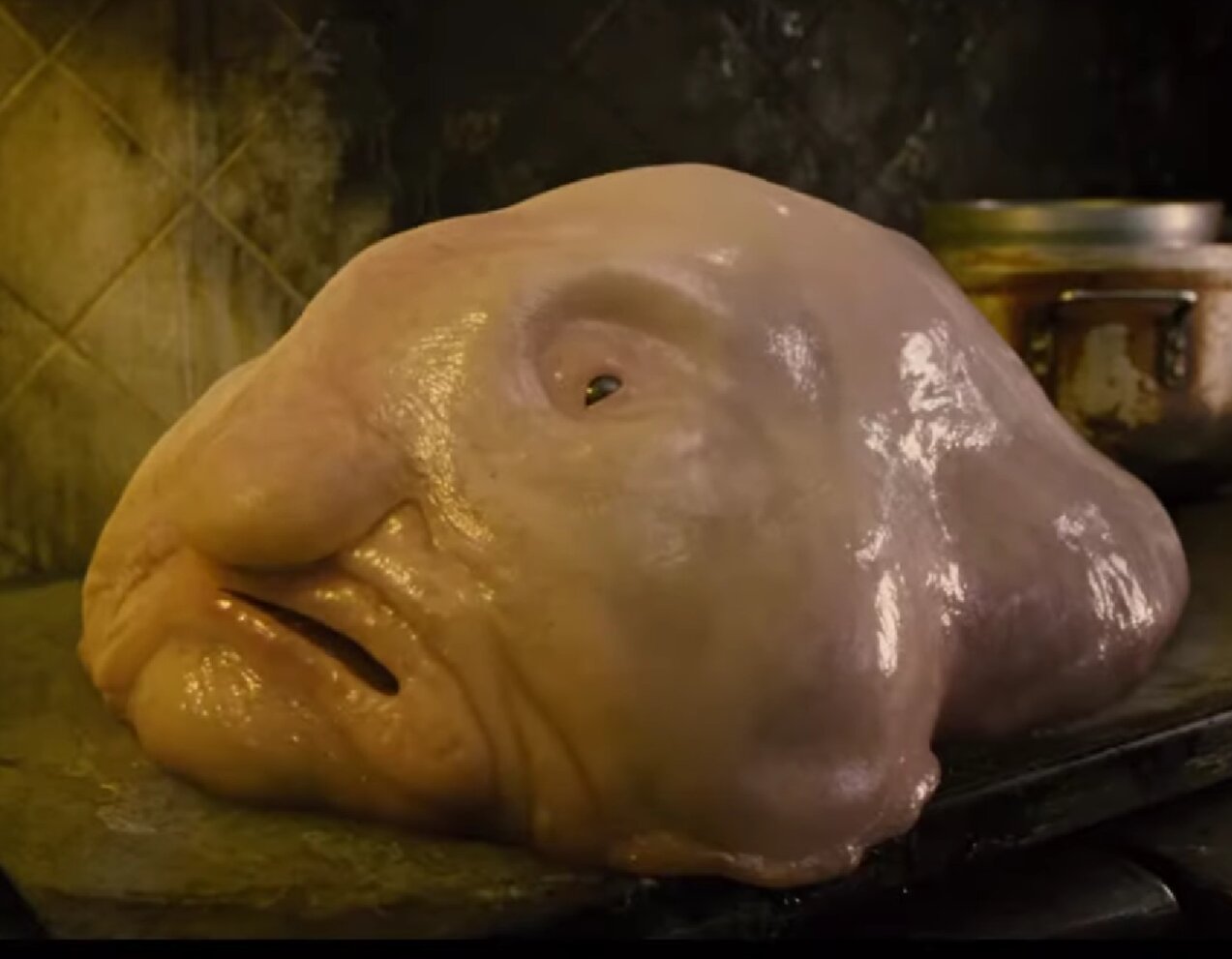 Unidentified blobfish-like species (Men in Black III), fish blob face 