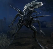 Xenomorph Queen (DBD).png (1.28 MB) Xenomorph Queen (DBD)
