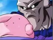 Grey buu