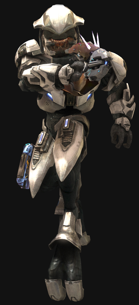 Sangheili Prime - Halopedia, the Halo wiki