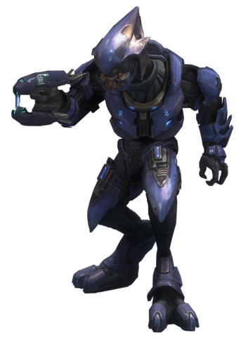 Human - Species - Halopedia, the Halo wiki