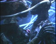 Large image 315.jpg (37 KB) Patrick Ross's bipedal form