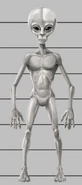 Gray-Alienology.jpg (22 KB) A Gray from Alienology