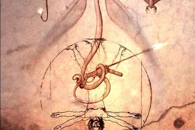 Evileye (Overlord) | Galactic Creatures Wiki | Fandom