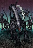 Xenomorphs-LV223.jpg (1.57 MB) Xenomorphs from LV-223