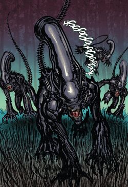 Xenomorphs-LV223.jpg