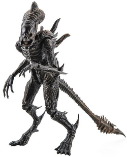 RavenXenomorph.png