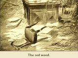Red Weed