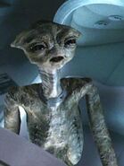 Daggra.jpg (11 KB) A Daggra