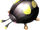 Anode Beetle