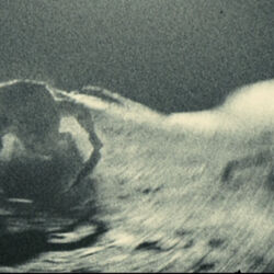 Category:Apollo 18 Universe | Alien Species | Fandom