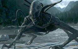 Planet4Xenomorph.jpg