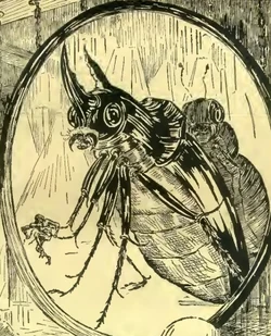 Venusians-TheMiracleOfTheLily