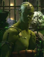 Orion male, circa 2154.