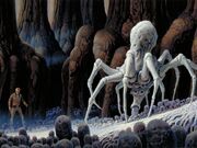 Knobby White Spider