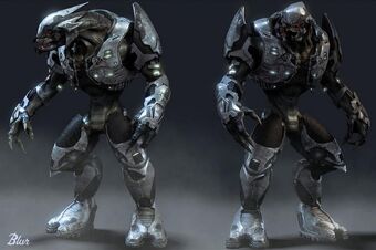 Sangheili Alien Species Fandom