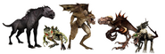 Illustrating five different types (Canine, Reptile, Bat, Bird, Hybrid)