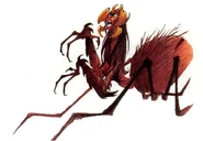 Cathe.png (422 KB) Cathe