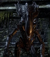 PraetorianXenomorph.jpg (101 KB) Praetorian