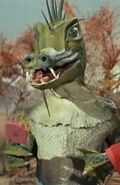 PocketDragon