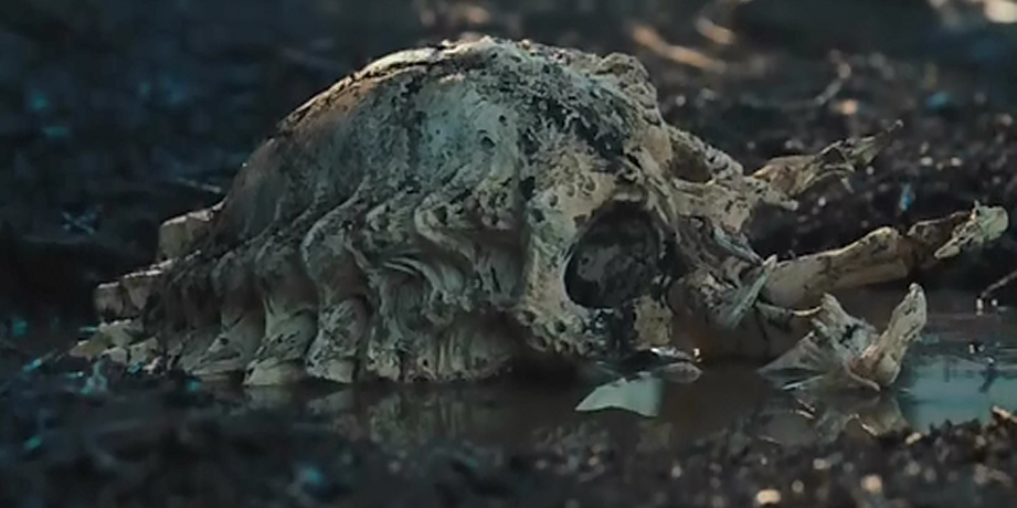 xenomorph skull in predator 2