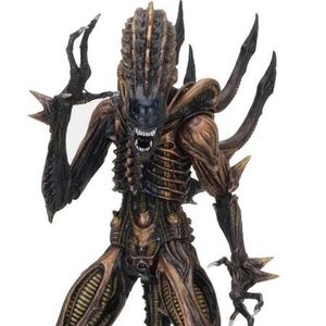 Xenomorph Alien Species Fandom