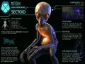 A Sectoid.