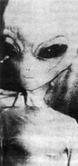 Reticulan.jpg (19 KB) An Alien from Intruders 1992.