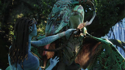 A Na'vi/Ikran connection