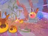 Slime (Slime Rancher)