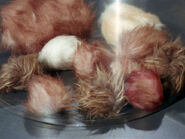 Tribbles