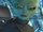 Drex's Species