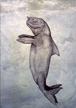 Swimmer All Yesterdays