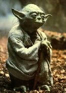 Yoda's Species (Star Wars)