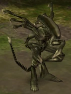 CarrierXenomorph.jpg (62 KB) Carrier