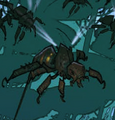 Ikneumon