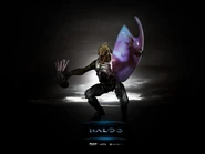 Halo-3-jackal-1262.jpg (20 KB)