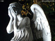 Weeping angel