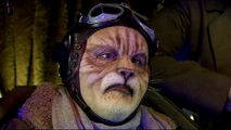 Catkind male