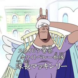 Category One Piece Universe Alien Species Fandom Category One Piece Universe Alien Species Fandom