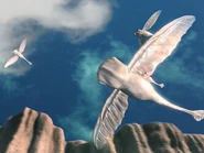 Underside view of Sky Whales