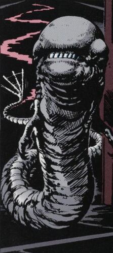 Bodyburster.jpg