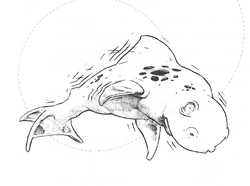 Delphusa