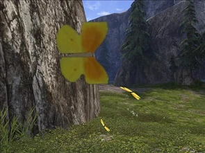 Halo Butterflies